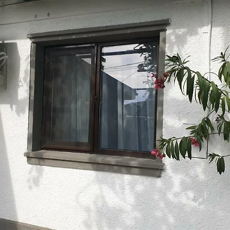 Rum i privatbostad Casa Fely Eforie Nord
